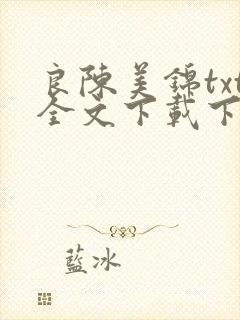 良陈美锦txt全文下载下载