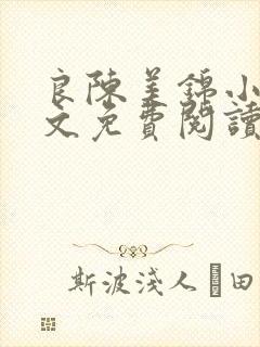 良陈美锦小说全文免费阅读无弹窗