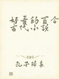 好看的百合小说古代小说