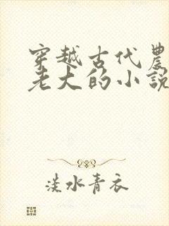 穿越古代农家当老大的小说