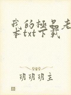 我的极品老婆完本txt下载