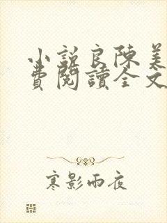 小说良陈美锦免费阅读全文