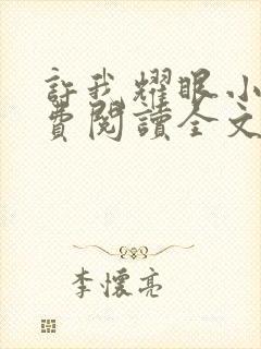 许我耀眼小说免费阅读全文最新章节