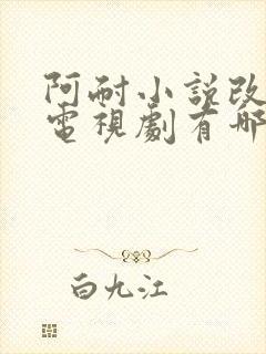 阿耐小说改编的电视剧有哪些