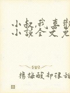 小叔,我喜欢你小说全文免费阅读