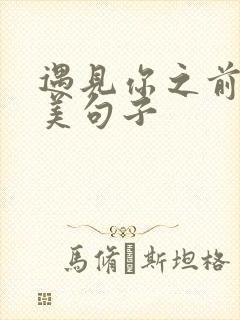 遇见你之前的唯美句子