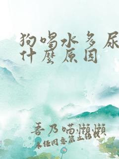 狗喝水多尿多是什么原因