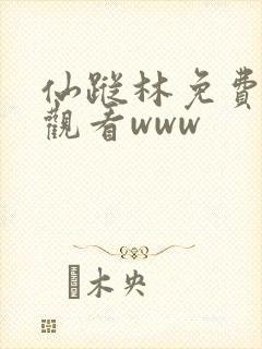 仙踪林免费在线观看www