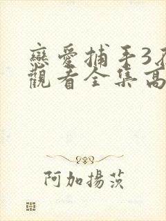 恋爱捕手3在线观看全集高清免费