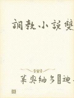 调教小说双性人