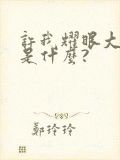 许我耀眼大结局是什么?