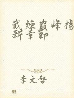 武炼巅峰杨开最新章节