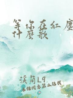 等你在红尘中是什么歌