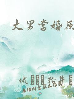 大男当婚原著