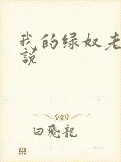 我的绿奴老公小说