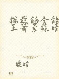 总裁的全能型兵王萧晨苏晴