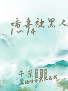 娇妻被黑人伦轩1～14