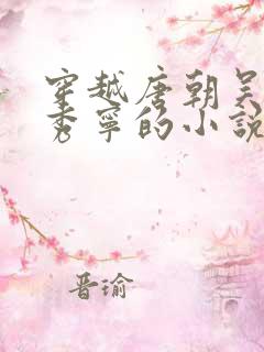 穿越唐朝吴缺李秀宁的小说