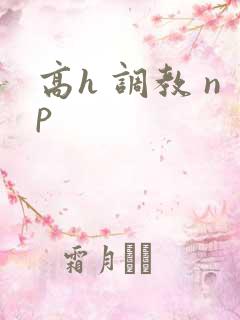 高h 调教 np