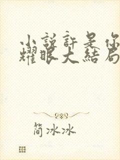 小说许是你太过耀眼大结局