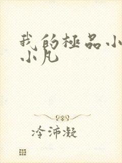 我的极品小姨叶小凡