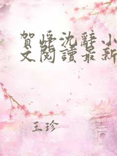 贺峥沈辞小说全文阅读最新章节