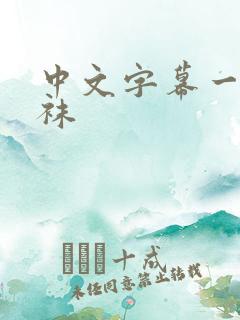 中文字幕一区丝袜