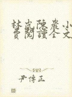 林岚陈岩小说免费阅读全文最新章节