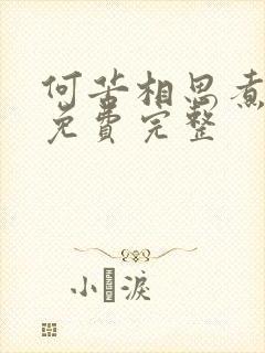 何苦相思煮余年免费完整