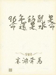 96年的鼠是火命还是水命啊