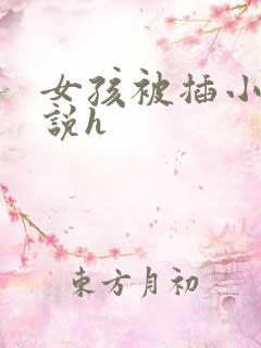 女孩被插小逼小说h