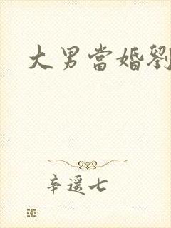 大男当婚刘晨曦