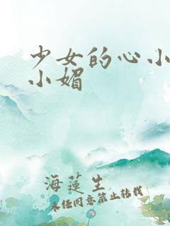 少女的心小说江小媚