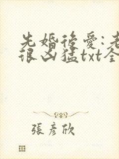 先婚后爱:老公很凶猛txt全文下载