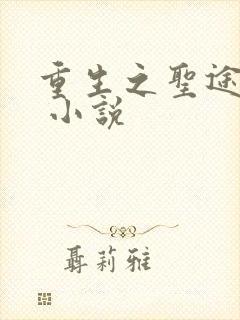 重生之圣途风流 小说