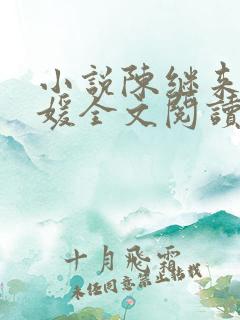 小说陈继来赵美媛全文阅读