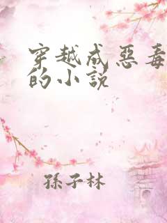 穿越成恶毒女配的小说