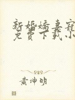 新婚娇妻宠上瘾免费下载小说