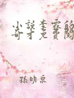 小说李霖的官场奇才免费阅读