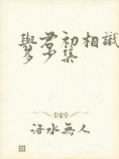 与君初相识 共多少集