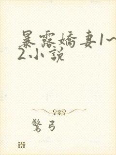 暴露娇妻1~12小说