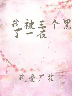 我被三个黑人操了一夜