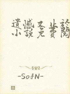 遗憾又止于相识小说免费阅读