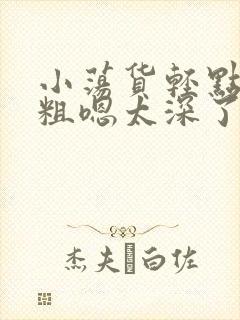 小荡货轻点灬太粗嗯太深了小说