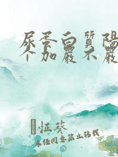 尿蛋白质阳性1个加严不严重