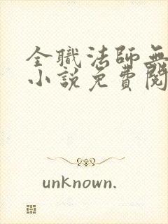 全职法师无弹窗小说免费阅读