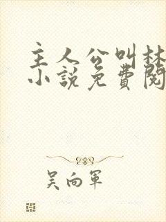 主人公叫林辰的小说免费阅读