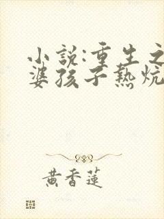 小说:重生之老婆孩子热炕头