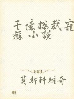 千亿总裁宠妻上瘾 小说