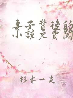 妻子背后的秘密小说免费阅读